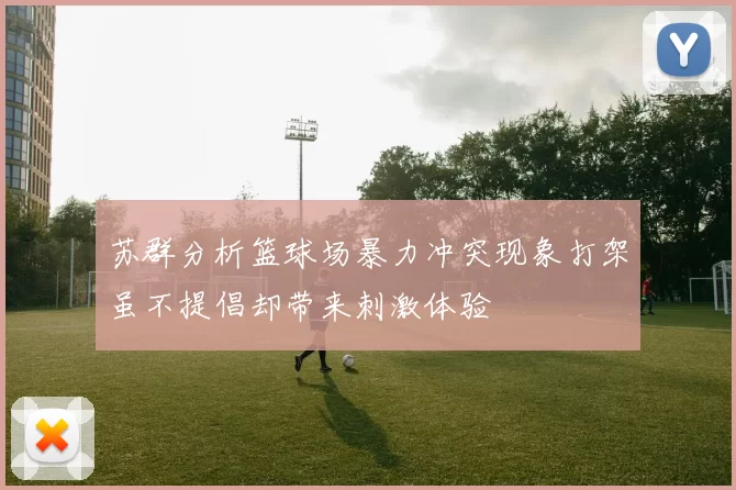 苏群分析篮球场暴力冲突现象打架虽不提倡却带来刺激体验